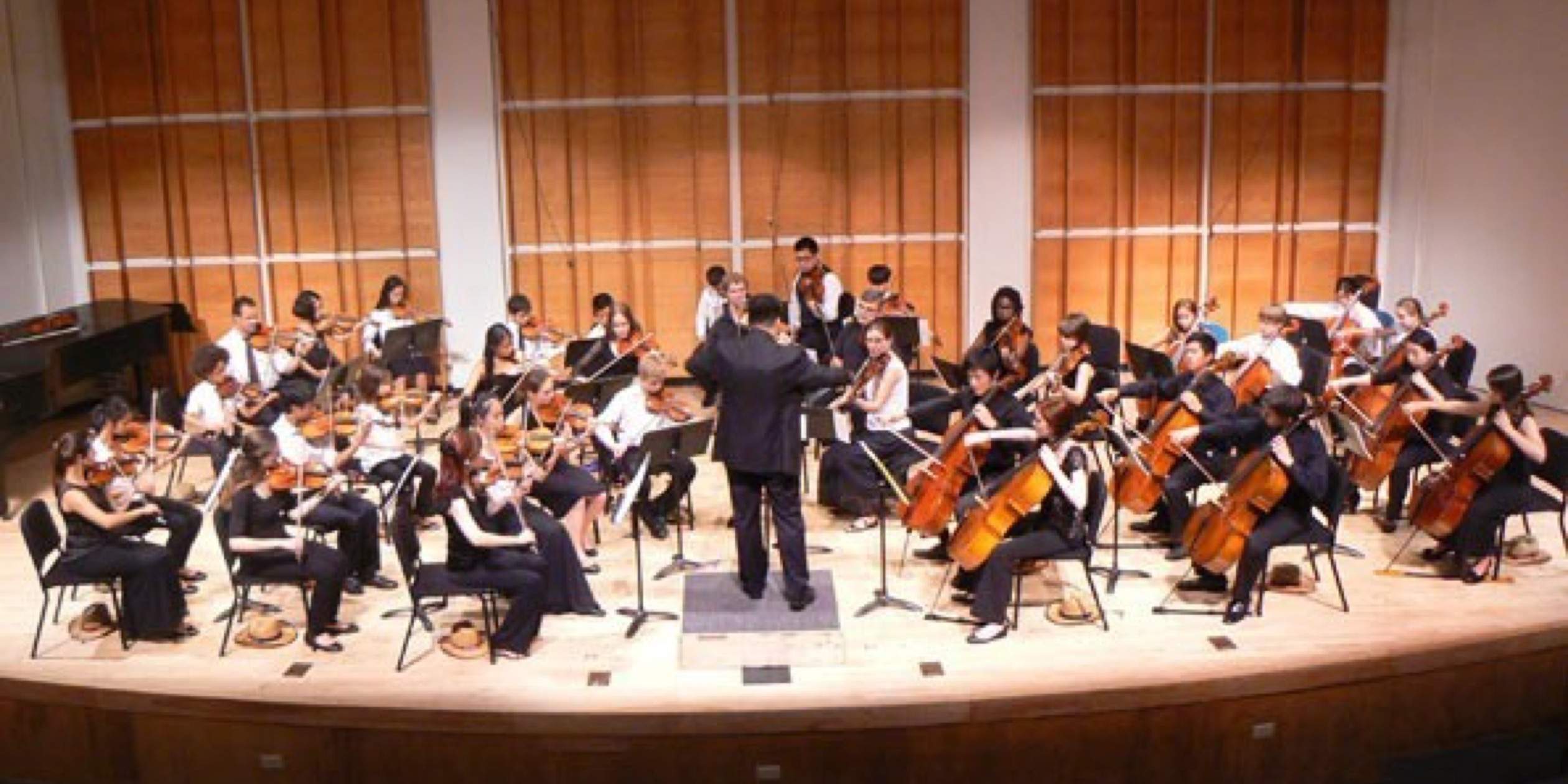 Young String Players Inspire Each Other at String Fest