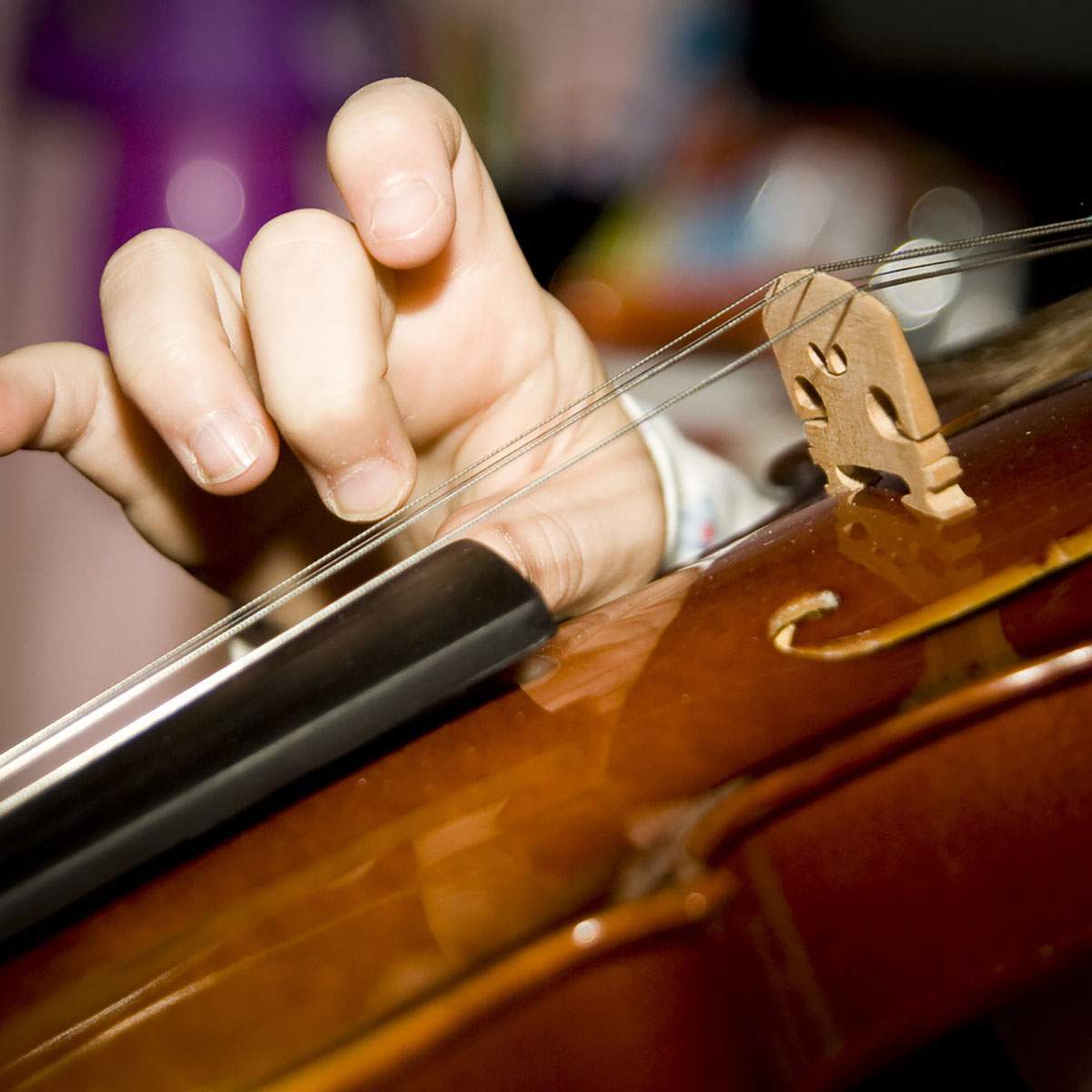1200x1200_Violin_1