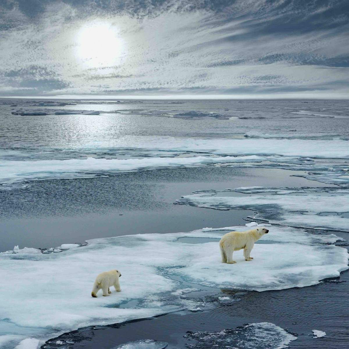 20200423_Climate_Change1200